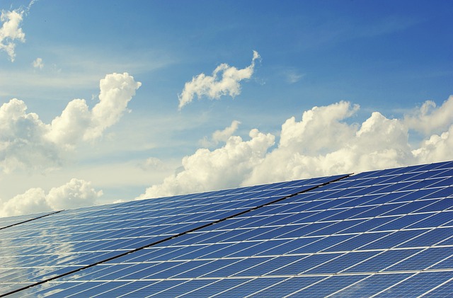 Profil: PLAN-B NET ZERO